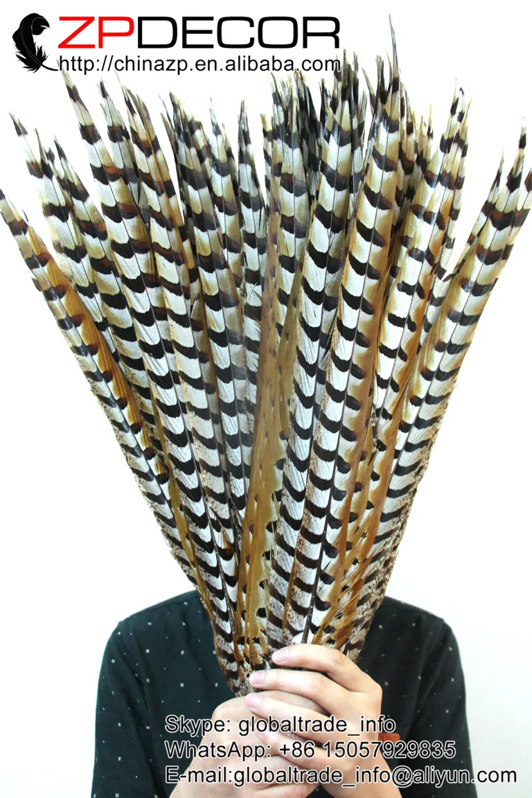 Zpdecoration 50 шт./лот 60-70 см (24-28 дюймов) Высокое качество натуральные перья из хвоста