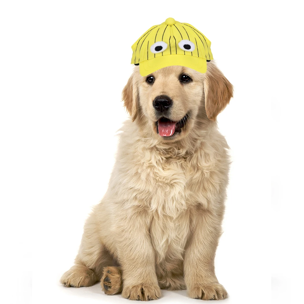 2019 Fashion dog Hat Summer for Small Dog Cat Baseball Cap Visor With Ear Holes Pet Products Outdoor Accessories Sun | Дом и сад