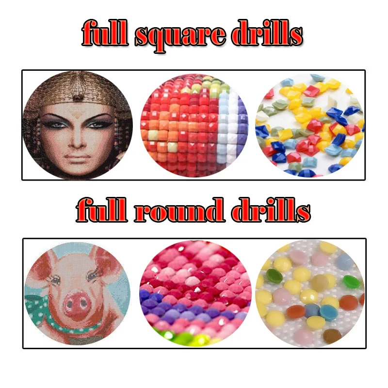 

Full Drill square/round,diamond embroidery bird,5d diamond painting,Cross Stitch,3D rhinestones Mosaic painting,Home Decor