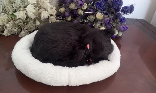 Модель дышащего кота большой 26x17 см черный спящий Кот с ковриком реалистичная