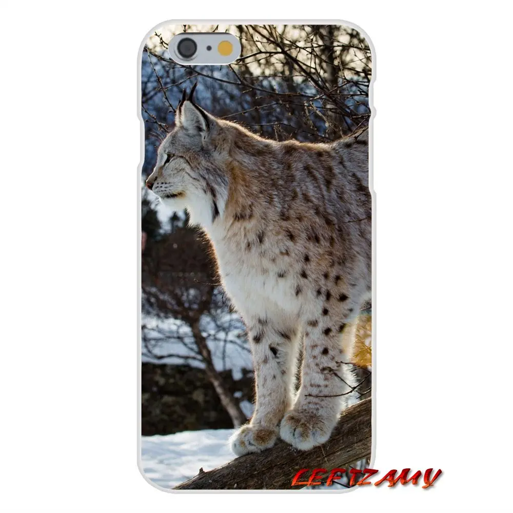 Для Samsung Galaxy S3 S4 S5 MINI S6 S7 edge S8 S9 Plus Note 2 3 4 5 8 Lynx Caracals аксессуары для котенка Чехлы