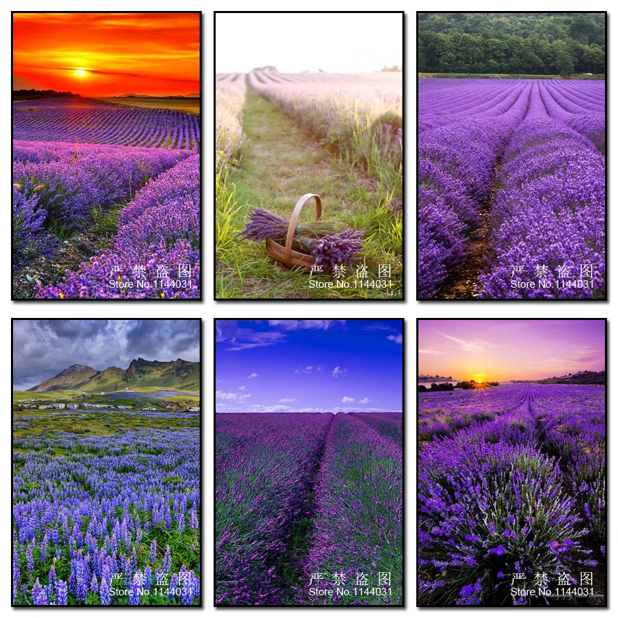 

5D Diamond Embroidery European Landscape DIY Diamond Painting Lavender Diamond Mosaic Christmas Gift Rhinestone Home Decor