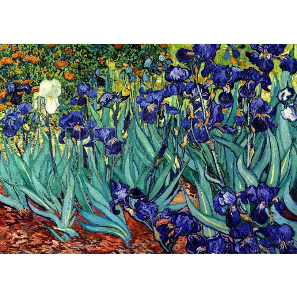Handmade Canvas Art Irises Vincent Van Gogh Paintings Modern Flower Oil Artwork For Bedroom Wall Decor Christmas Gift Quality