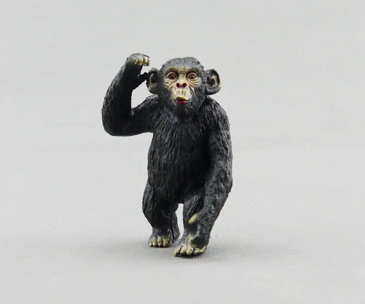 США AAA бренд Африка игрушка в виде дикого животного модель шимпанзе|wild animals toys|toy
