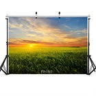 Фон для фотосъемки с изображением травы заката, аксессуары для фотографирования детей, виниловая ткань, компьютерная печать, Фотостудия