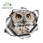EARLFAMILY 13 см x 11,8 см забавная сова виниловая наклейка 3D животное Стайлинг автомобиля рваная металлическая наклейка отражающая наклейка s окно бампер Декор
