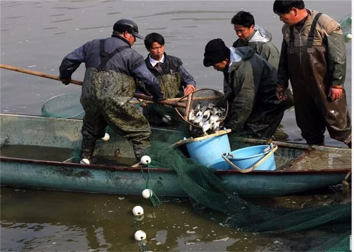 Рыболовная сеть Складная с насадкой прочная треугольная рыболовная для креветок