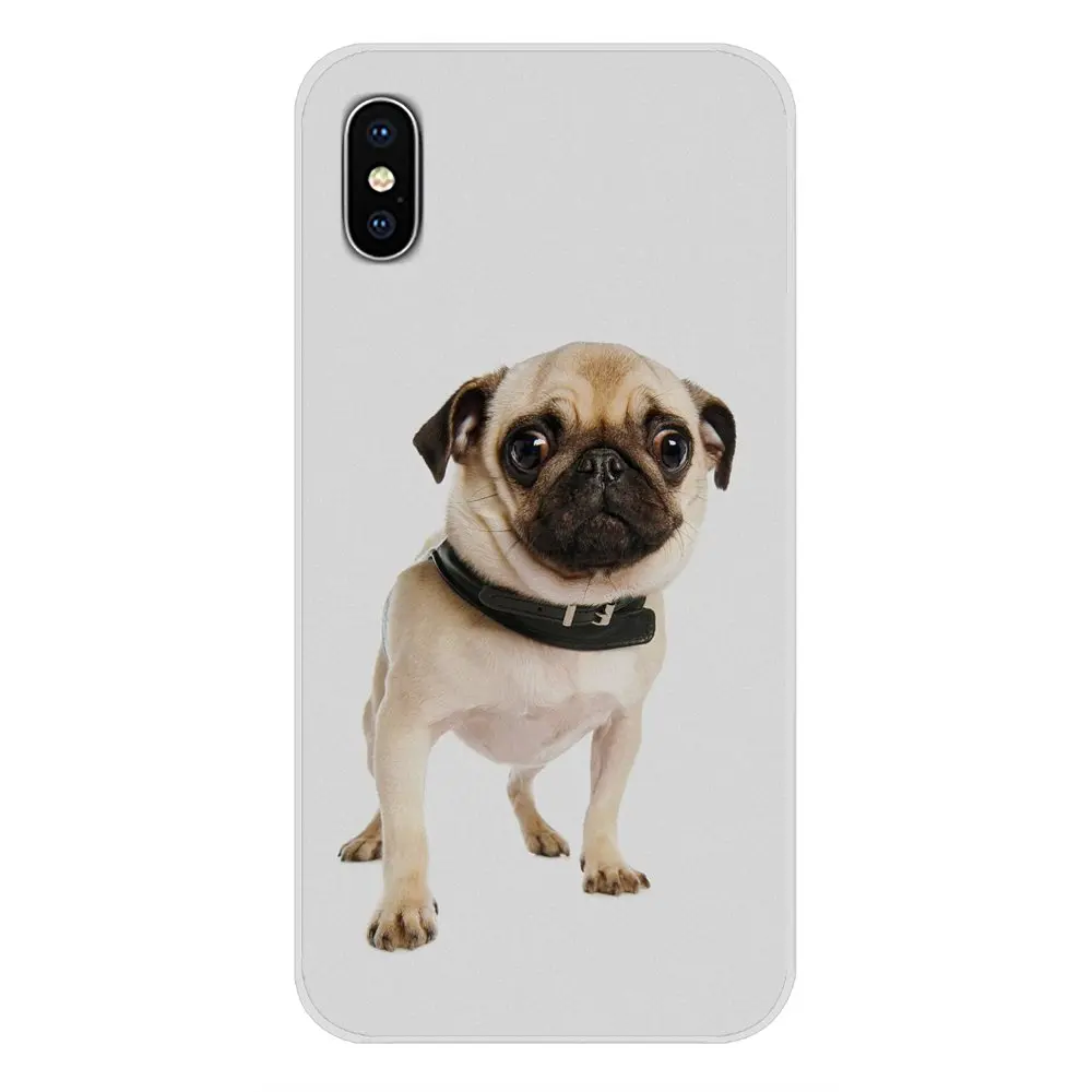 For Samsung Galaxy J1 J2 J3 J4 J5 J6 J7 J8 Plus 2018 Prime 2015 2016 2017 cute dog Wacky Husky &ampPUG Newest Super Cell Phone Case |