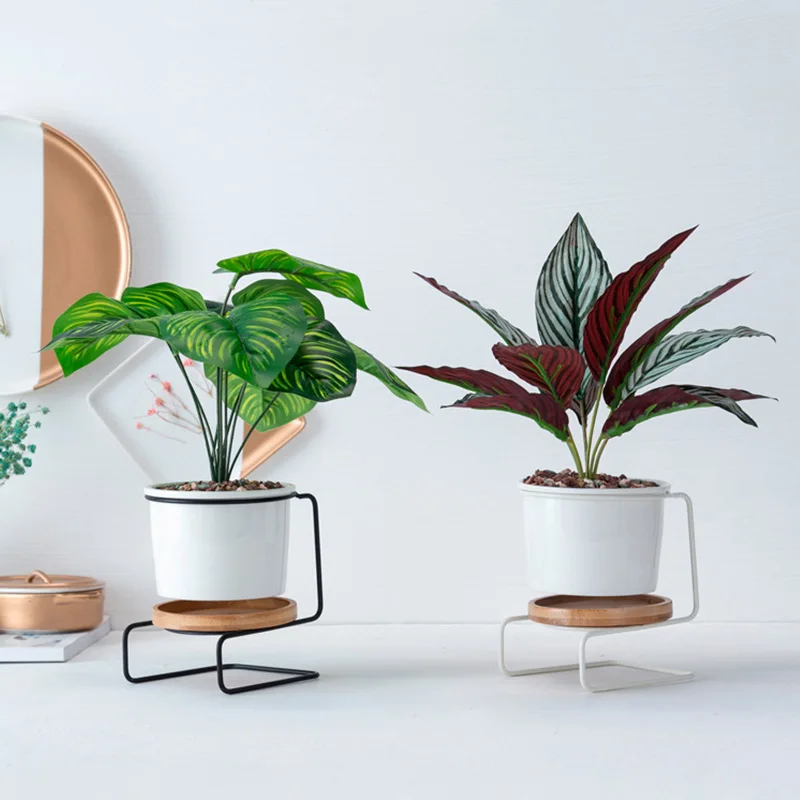 3 шт. суккулентные минималистичные керамические горшки для цветов растений с