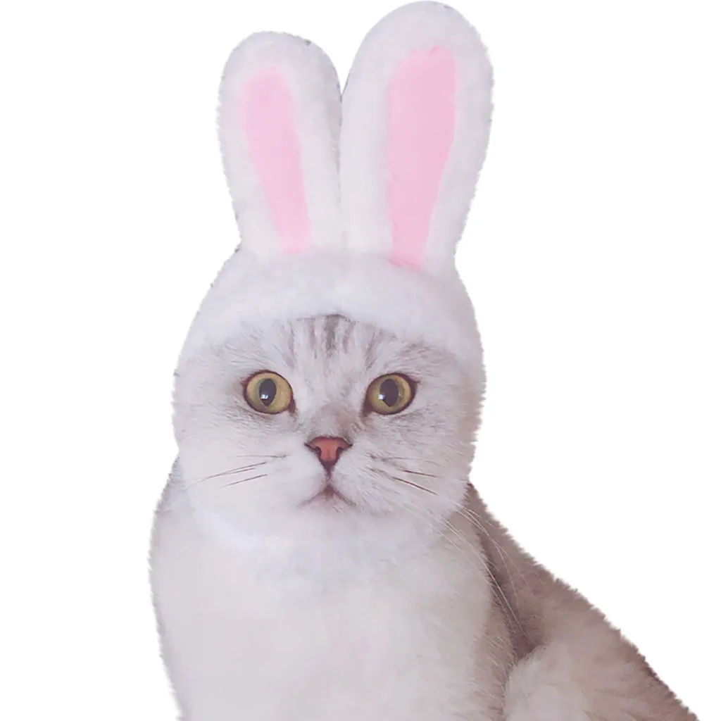 Cat Bunny Rabbit Ears Hat Pet Cosplay Costumes For Small Dogs Kitten Party Costume New Arrival Dropshipping |