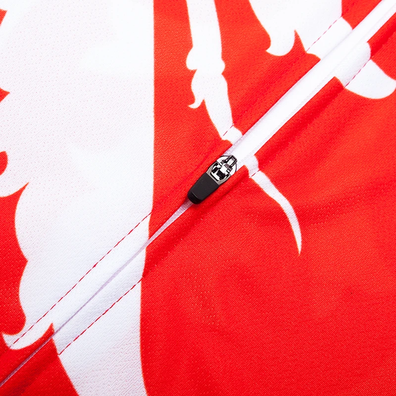 Новинка Австрия Джерси для велоспорта длинный рукав зимний теплый флис без флиса