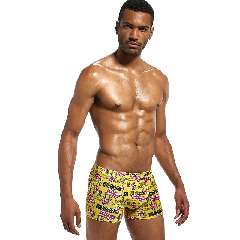 Популярные Модные боксерские шорты BSHETR ice мужское нижнее белье из модала u