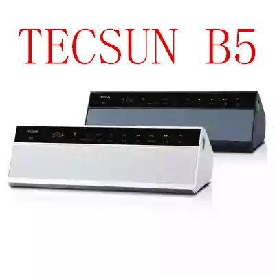 TECSUN B5 FM радио/Hi Fi Цифровой музыкальный плеер/Bluetooth приемник/мобильный телефон