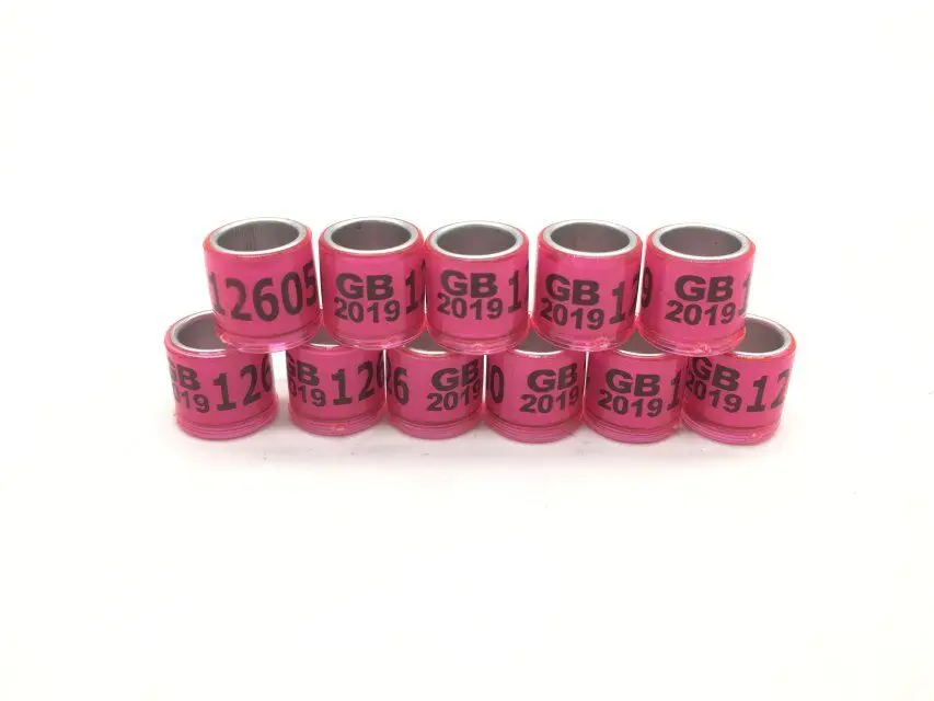 pink 100 шт. кольцо для ног голубя с сережками качество прочное кольцо для птиц кольцо для ног фазана многоцветные инструменты для птиц - Цвет: pink