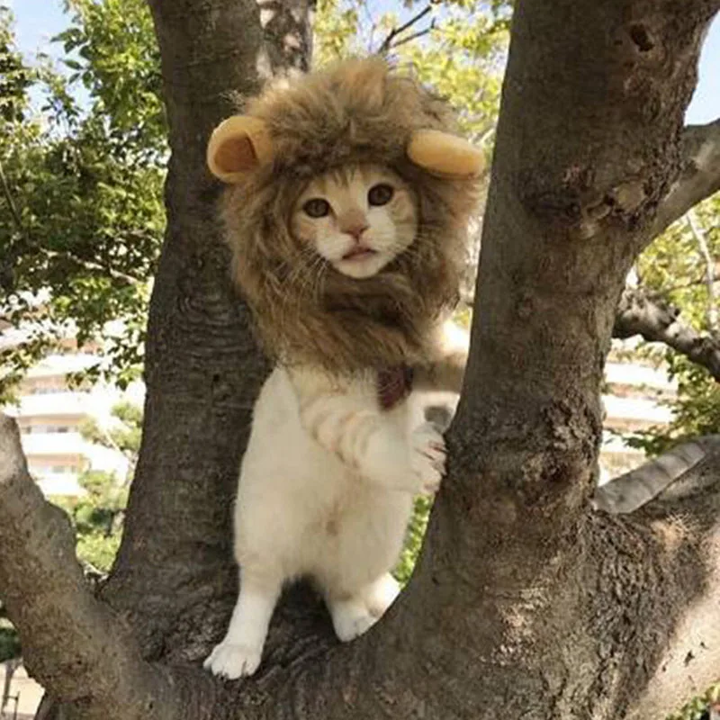 Костюм Львиной гривы для кошек маленьких собак Забавный парик льва с ушками