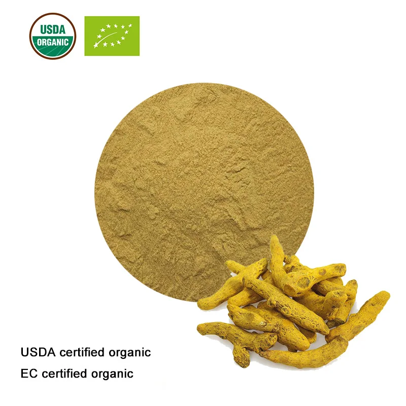 USDA и EC сертифицированный органический экстракт корня куркумы 10:1 Экстракт Куркумы Куркумин