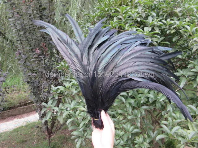 

wholesale 50pcs/lot natural black Beautiful Rooster feathers 40-45cm 16-18Inch
