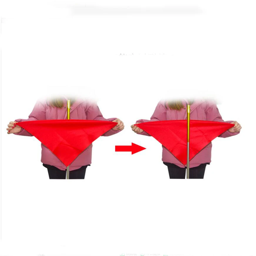Silk thru Cane Stage Magic Tricks Magia Trick Toy Fun Magie|scarf collar|toy beachtoy player |