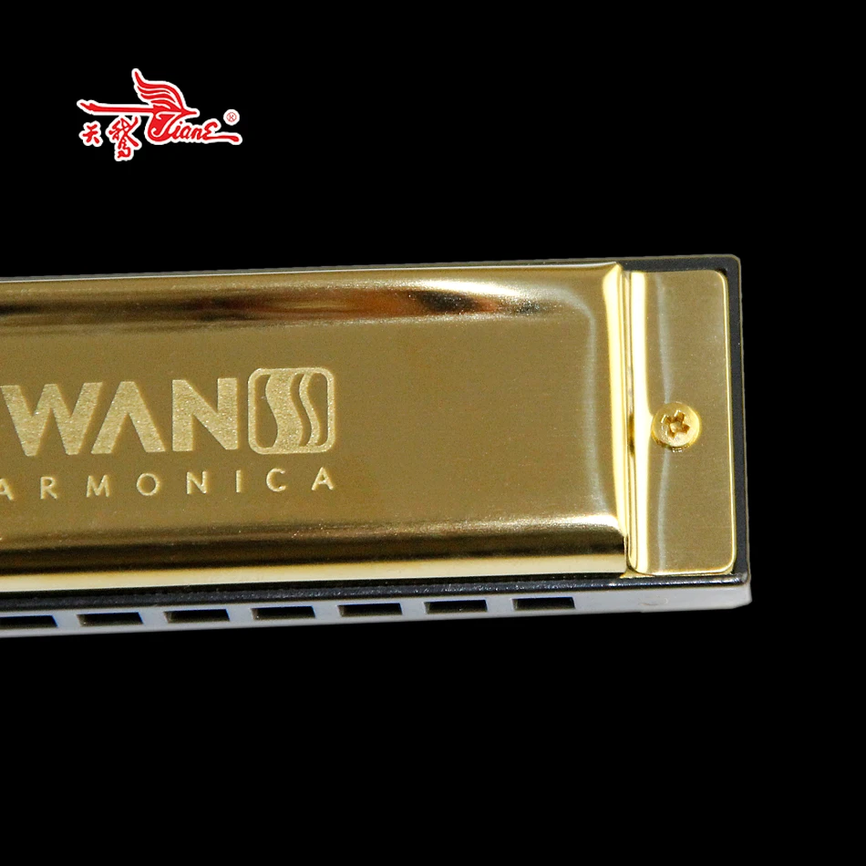 Diatonic Blues Harmonica / 10 Hole with 20 Tone Brass Reed Harmonicon C key Mouth Organ | Спорт и развлечения