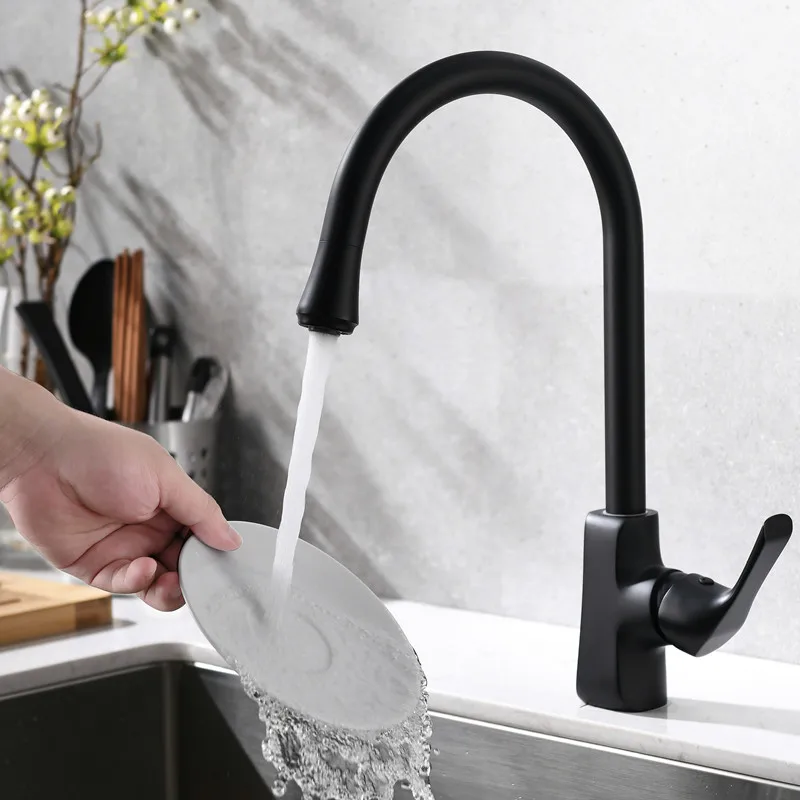 

Oem Export Kitchen Faucet Black Matte In North America