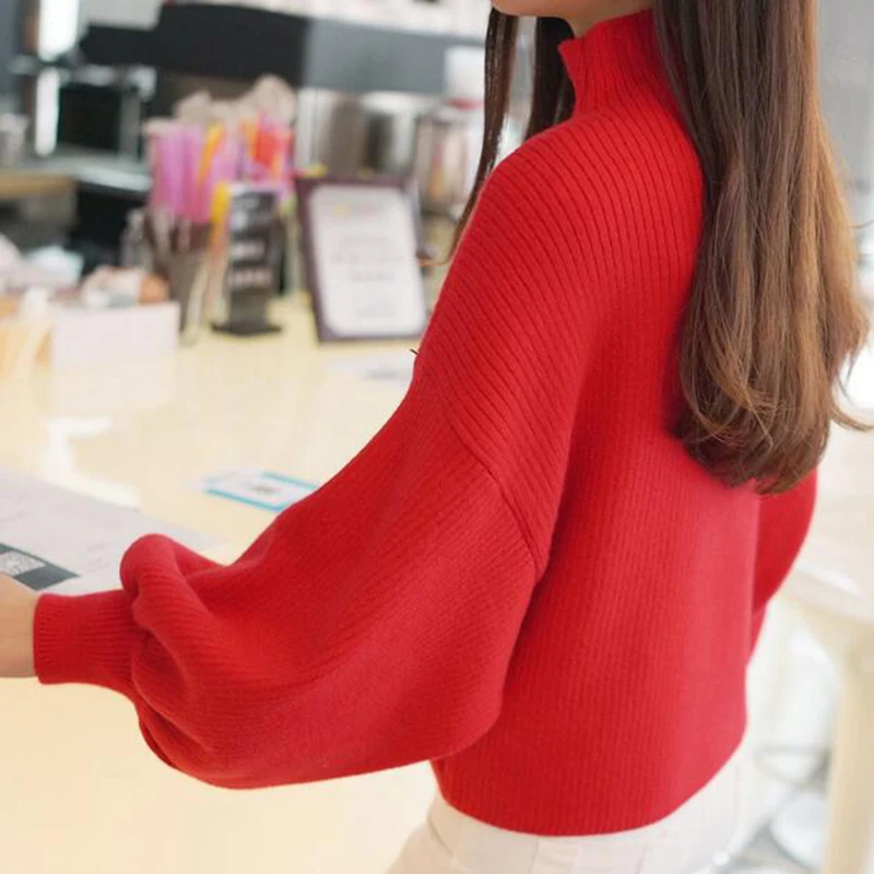 Autumn Winter Sweaters Women 2017 Solid Color Casual Sweater High Quality Turtleneck long Sleeve Loose Batwing | Женская одежда