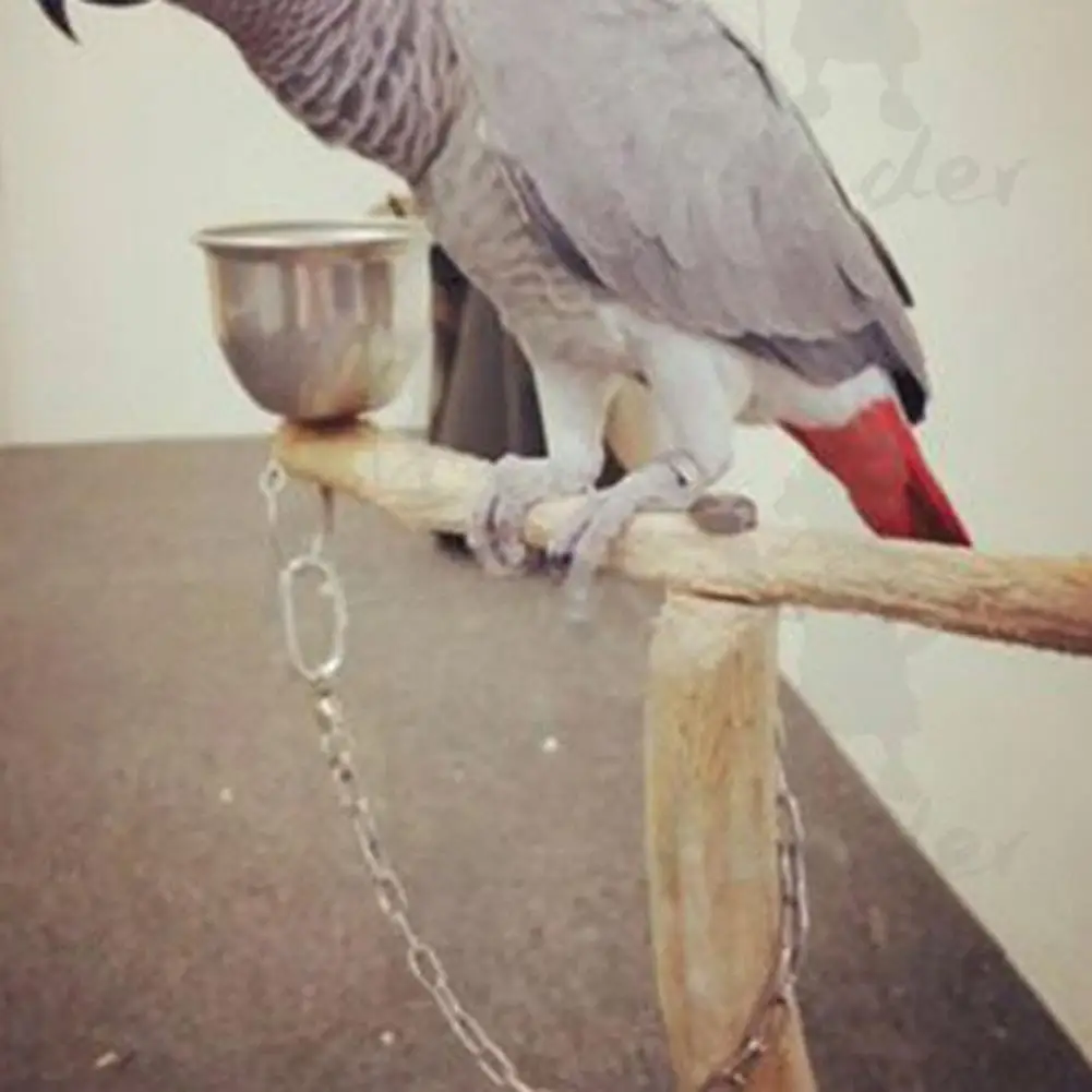 Новинка кольцо для ног из нержавеющей стали с попугаем Открытое активного отдыха