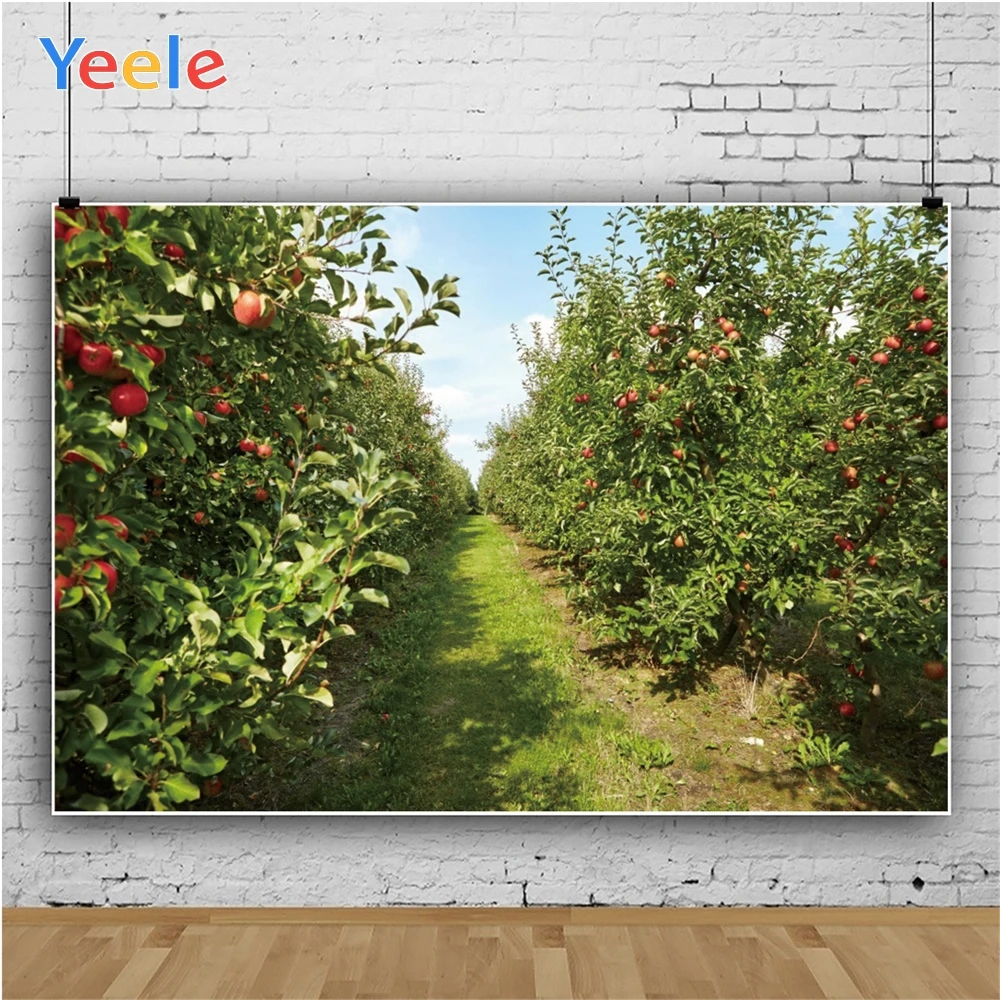 Фон для фотосъемки Yeele с изображением сада фруктов сильной жизнерадостной милой