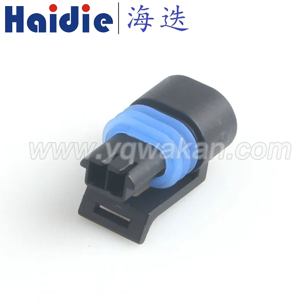 Бесплатная доставка 5 комплектов Delphi GM фоторазъем фотосессия 12162195 12162193|connector