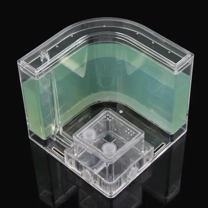 Новое поступление, горячая Распродажа, 3D муравьи-насекомые на ферме, Развивающие детские лабиринты, игрушки для детей BS