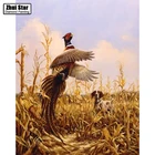 Полная дрель квадратная Алмазная 5D DIY алмазная живопись 