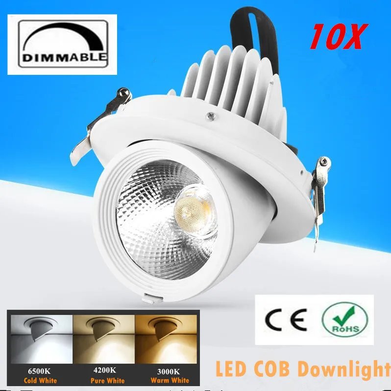 

FEDEX Dimmable LED Trunk Downlight COB Ceiling 10W 15W 20W 30W AC85-265V Adjustable recessed led Indoor Light cob led downlight