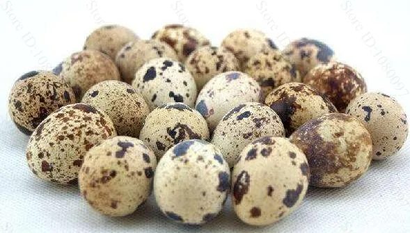 Автоматический Электрический перепелиное яйцо брод очиститель яиц машина шелушильная Шеллер машины|machine