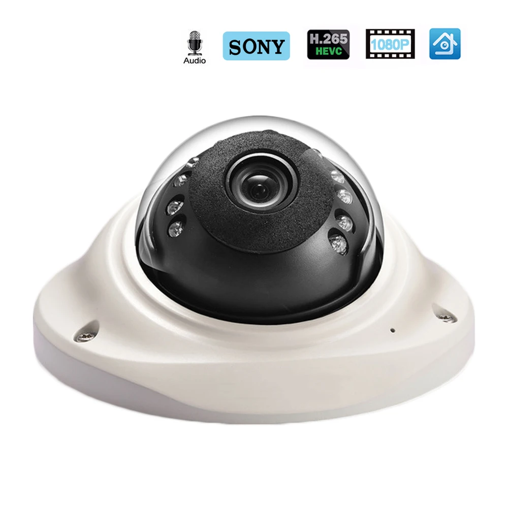 

Hamrolte IP Camera H.265 SONY IMX307 Senor 1080P Vandal-proof Dome Camera Audio Record Motion Detection ONVIF Video Camera