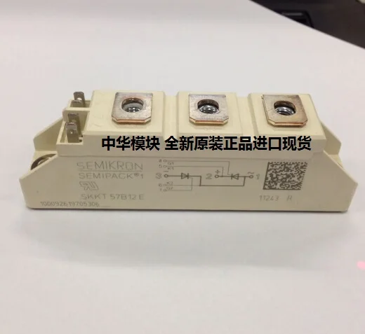 SKKT56 / 14E 18E Germany module Spot--ZHMK |