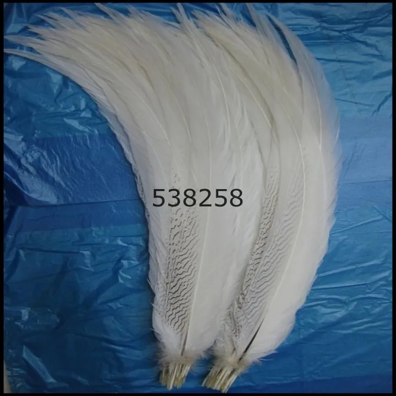 

silver pheasant feathers 50-55cm natural pure white color for craft dancer decoration plumages