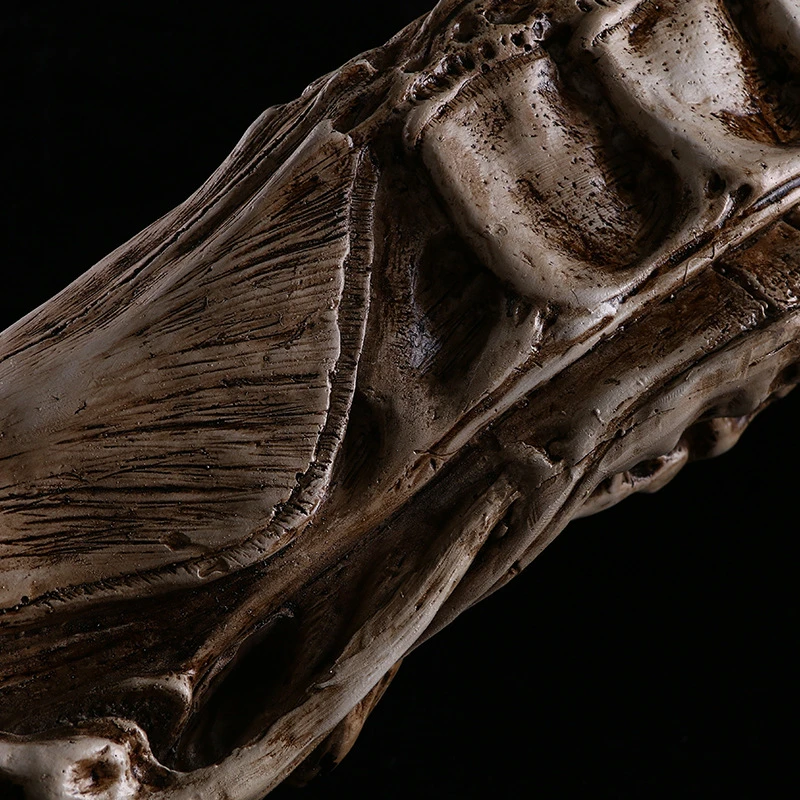 

Special-shaped skull model resin handicraft office creative decoration collection Halloween home decoration KLGT025