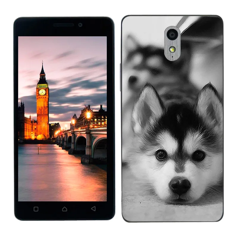 Чехол для телефона чехол для lenovo Vibe P1M силиконовый чехол с подсолнухами окрашенный протектор для lenovo P1M чехол для lenovo Vibe P1M a40 P1 м Coque Капа - Цвет: 02