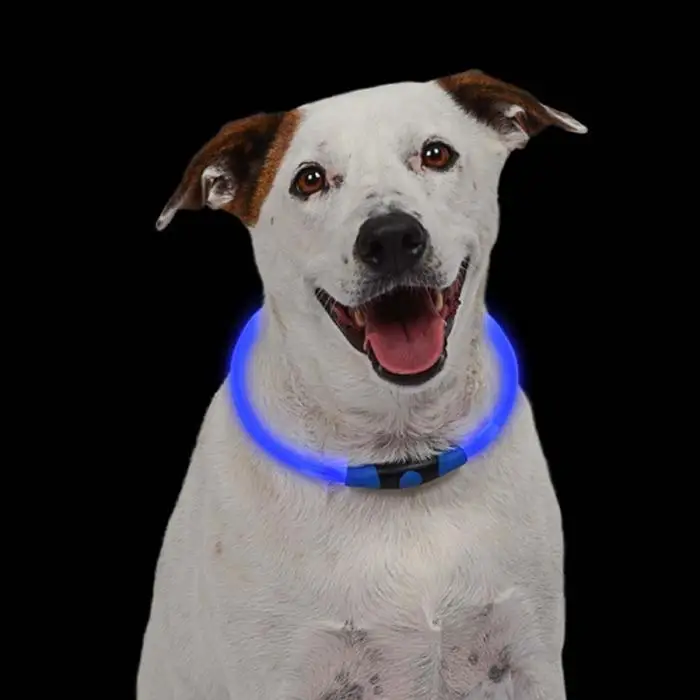 LED dog collar illuminates glowing puppy night safety pet collar adjustable dog collar for small to medium sized dogs- TP