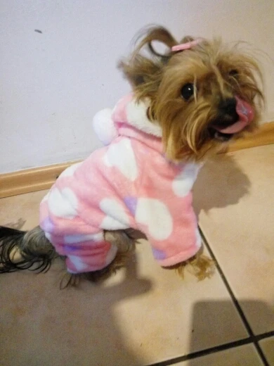 puppy Coral velvet jumpsuit Pet dog coveralls pet fleece hoodies clothes deer design s-xxl F50 | Дом и сад