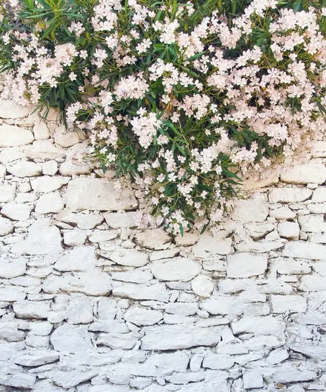 White flower leaves Stone brick wall backgrounds High quality Computer print wedding backdrops | Электроника