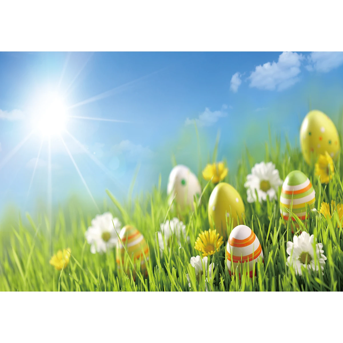 Фон для фотосъемки Allenjoy весенние пасхальные яйца Солнечный свет красивый белый
