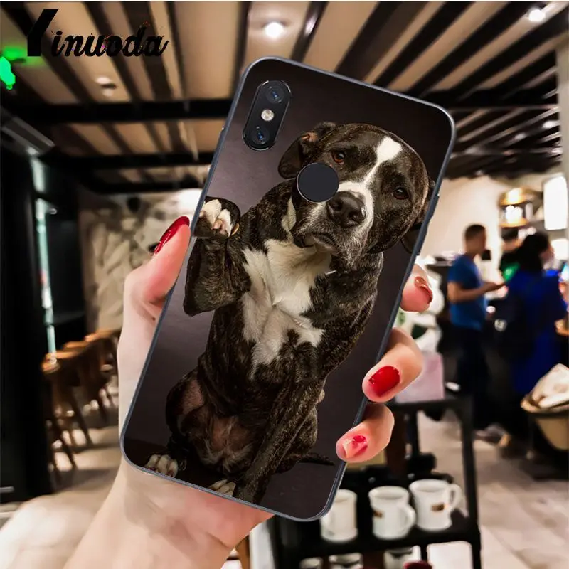 Чехол для телефона Yinuoda Питбуль Щенок питбуль животное Xiaomi Redm4X 6A 5A 7A Redmi5 5Plus Note8 8Pro 7