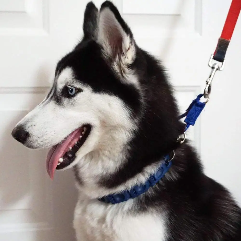Pet мягкий идеальный ошейник для собаки Регулируемый командный тренировочный ошейник для домашних животных зубец дроссельная цепь для средних/больших собак