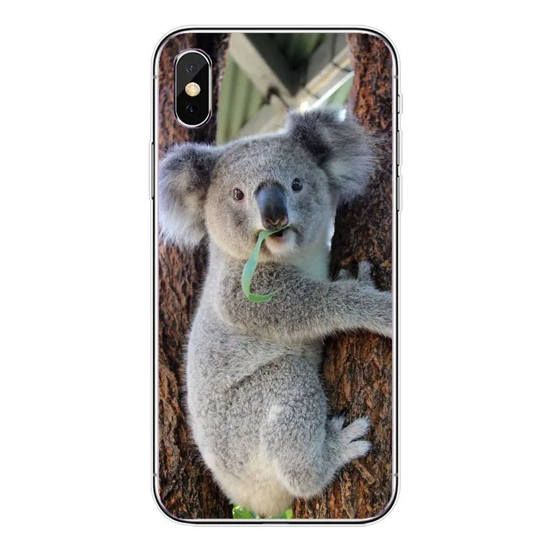 Мягкий ТПУ чехол для сотового телефона с забавными животными коала iPhone 11Pro 8 7 6 6S