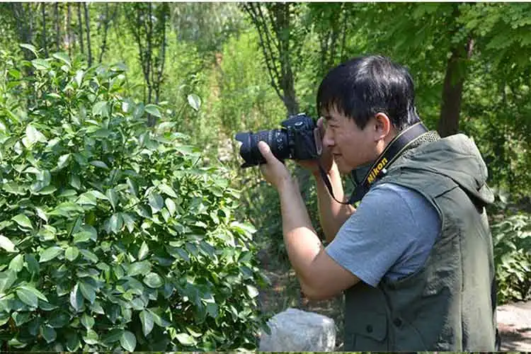 Универсальный Мужской жилет с капюшоном для фотографа, водонепроницаемый Быстросохнущий сетчатый жилет, мужской жилет, куртки без рукавов с большим карманом, весна-лето