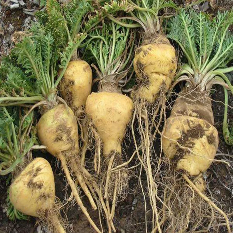 100-1000 г натуральная мака, экстракт порошка Lepidium meyenii 30: 1, чистый корень Маки 30: 1 экстракт порошок, экстракт маки, здоровая энергия
