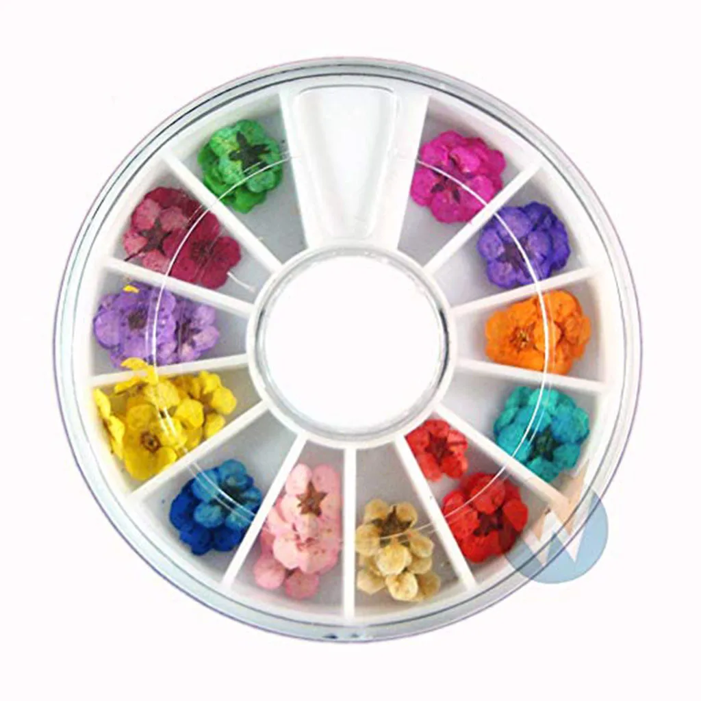 

Art Accessories Real Dry Dried Flowers 12 Colors Bundle Set In Wheel Dry Dried Flower For Nail Art Decorations Natural 2021