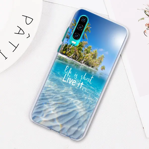 12 Карта мира, план путешествий, чехол для телефона huawei P30 P30 Pro P10 P20 Lite P Smart Plus mate 10 20 Lite, жесткий чехол-накладка - Цвет: 12