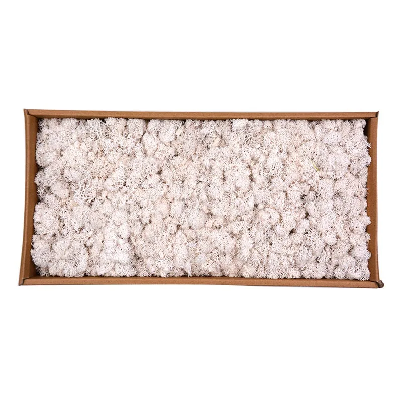 White 500 г/кор. цветы из мха, долго сохраняющиеся сушеные цветы для рукоделия, домашний декор для свадебной вечеринки, Лучшая цена - Цвет: White