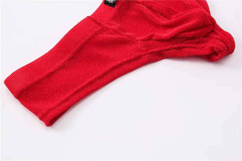 6PCS/Lot Sexy Briefs Men Underwear Transparent Net Mesh Bikini Brief Underwear Bulge Underpants Waist Briefs Sexy Lingerie Gift